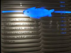 -白鹤梁水下博物馆