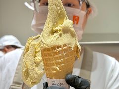 -野人先生现做冰淇淋(北京环宇荟店)