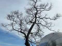 -Brew Farm·精酿农场海滨悬崖餐厅