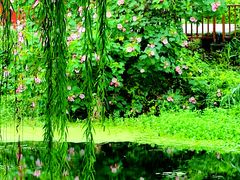 -白塘生态植物园