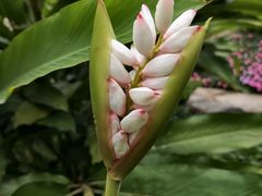 -云溪植物园