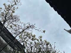 -豫园