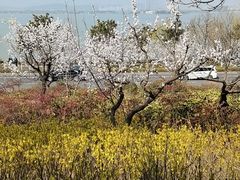 -云龙湖旅游景区