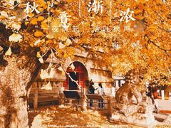 -北京石刻艺术博物馆(五塔寺)