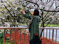 -南浦大桥长途旅游客运站