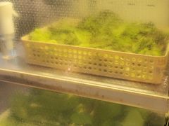 -江南猪肉商会无限续吃(弘大店)