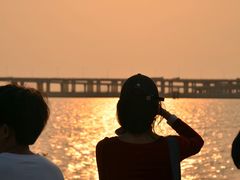 -宝安西湾红树林湿地公园