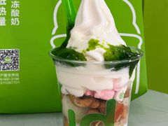 -Salud撒露欧洲冻酸奶(五道口购物中心店)