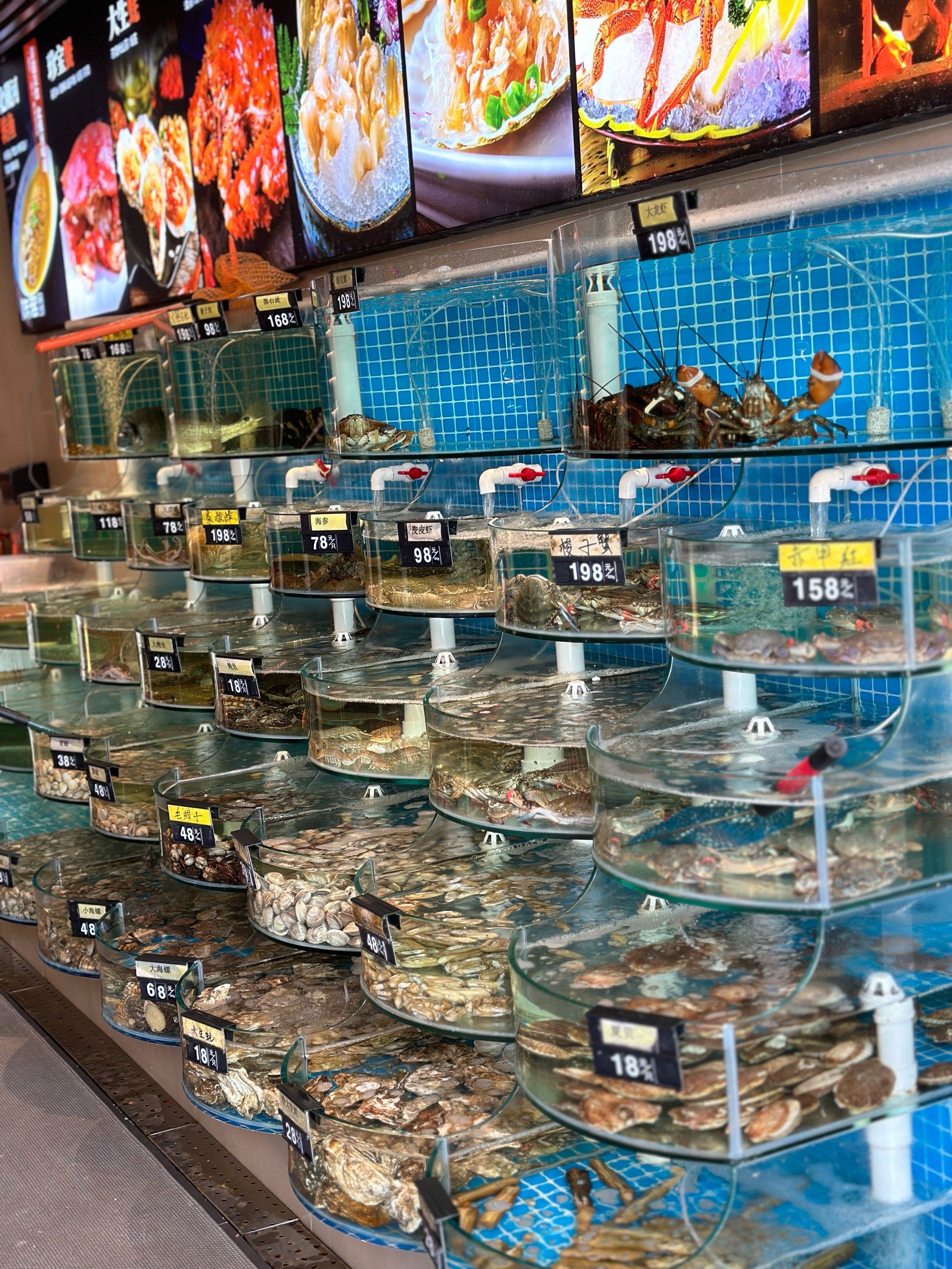 北戴河餐厅陆瑶小馆