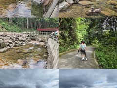 -姑婆山旅游区