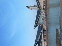 -盐城丹顶鹤湿地生态旅游区