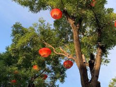 -德发长·花式蒸饺(大唐不夜城店)
