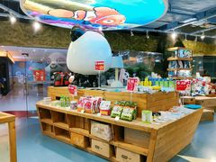 -龟与熊猫宠物公园(南坪店)