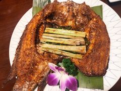 -紫滇源云南生态菜(丹凤街店)