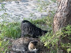 -北京西山国家森林公园