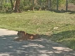 -西安秦岭野生动物园