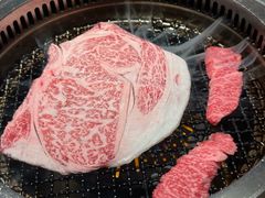 -和牛放题的殿堂 肉屋横丁(秋叶原店)