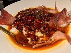 -甄御•海鲜新青岛菜(麦岛店)