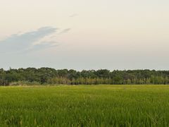 -阳澄湖半岛旅游度假区