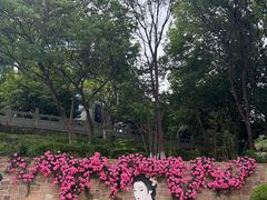 -白马涧龙池景区