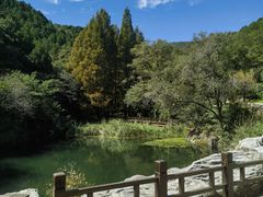 -小吊梨汤·北京菜(香山店)