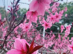 -艾溪湖湿地公园