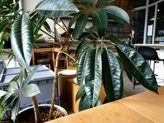 大堂-DEEP COFFEE(瑞光烘焙工厂店)