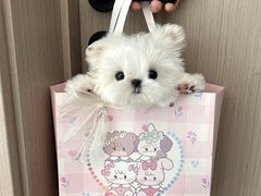 -海洋之星休闲汗蒸浴场