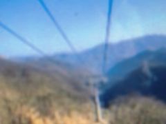 -栾川竹海野生动物园