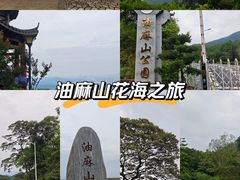 -黄埔油麻山森林公园