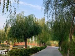 -白洋淀景区