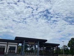 -陶辛水韵