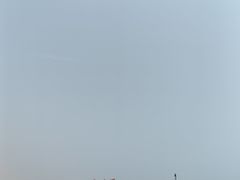 -东疆理想海岸沙滩景区
