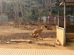 -无锡动物园·太湖欢乐园