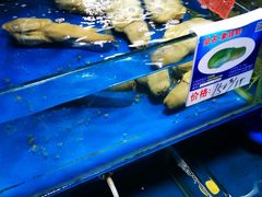 -三亚新鸿港水果一级批发市场