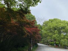 -白马涧龙池景区