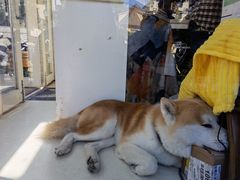 -餐酒吧Com-ing Bar(上海路店)