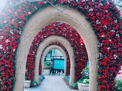 -人民公园(罗湖区)