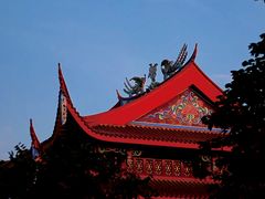 -光明港公园