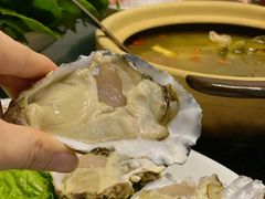 -金龙·打边炉(武进路店)
