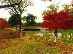 -尚贤河湿地