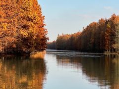 -上海海湾国家森林公园