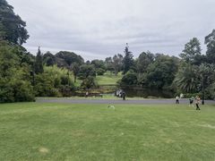 -墨尔本皇家植物园