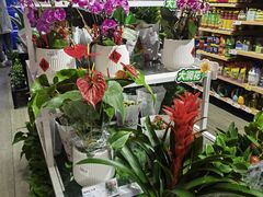 -大润发(花都店)
