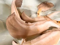 -肖肖酸萝卜鱼火锅(总店)