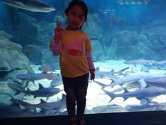 -烟台海昌鲸鲨海洋公园