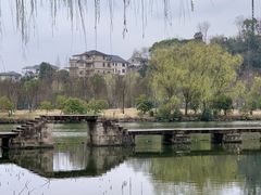 -鲁镇
