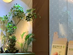 -奈雪的茶(石家庄万象城店)