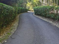 -天目湖涵田度假村