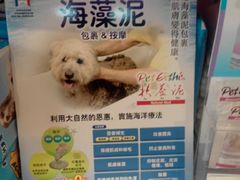 SPA海藻泥.jpg-喵汪宠物生活馆(涞坊路店)